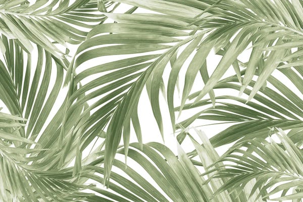 Anita's & Bella's Art: Lush Caribbean Palm Collage I by Anita's & Bella's Art