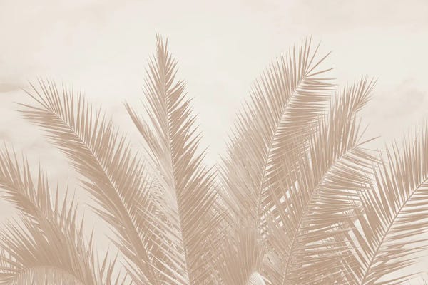 Sepia Photography: Dreamy Caribbean Palms IV by Anita's & Bella's Art