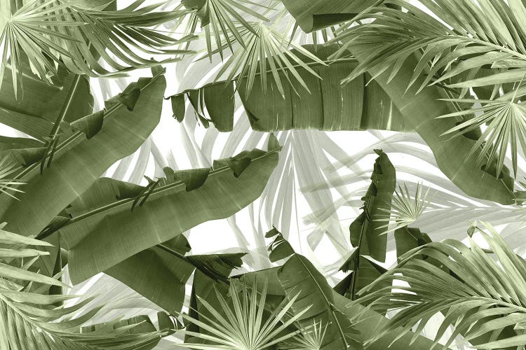 Green Palm Banana Leaves Bliss I