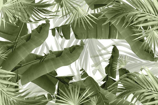 Anita's & Bella's Art: Green Palm Banana Leaves Bliss I by Anita's & Bella's Art