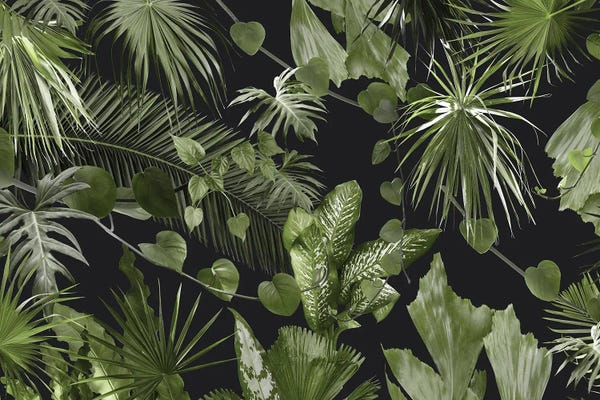 Anita's & Bella's Art: Lush Tropical Jungle I by Anita's & Bella's Art