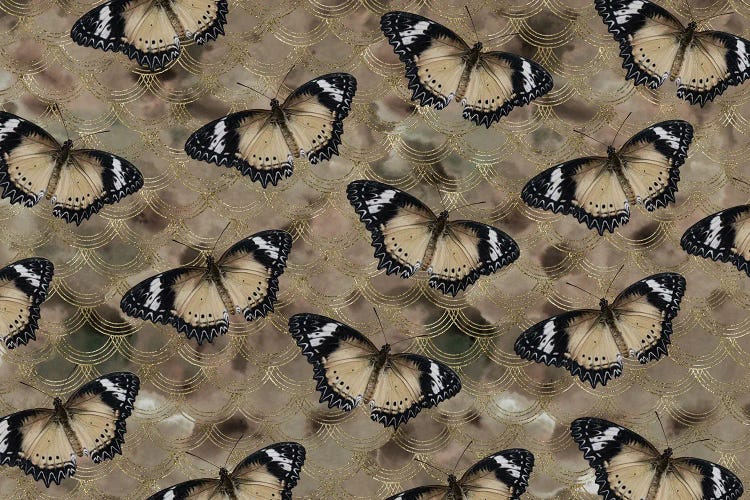 Golden Butterfly Dance I by Anita's & Bella's Art wall art