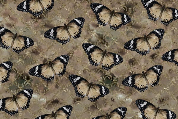 Anita's & Bella's Art: Golden Butterfly Dance I by Anita's & Bella's Art