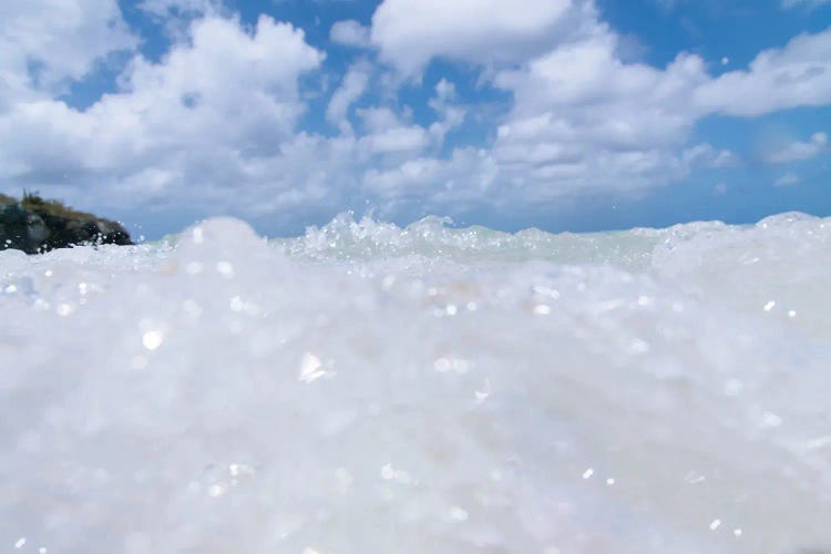 Dive Into The Caribbean Sea I by Anita's & Bella's Art wall art