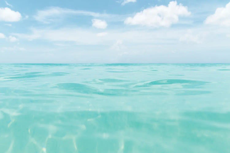 Dive Into The Caribbean Sea II by Anita's & Bella's Art wall art