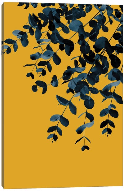 Eucalyptus Fall Delight I Canvas Art Print