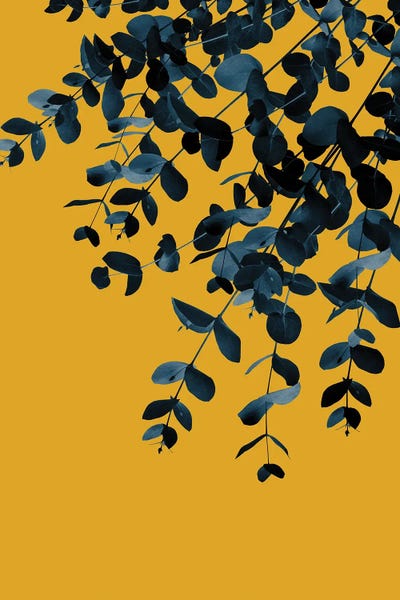 Eucalyptus: Eucalyptus Fall Delight I by Anita's & Bella's Art