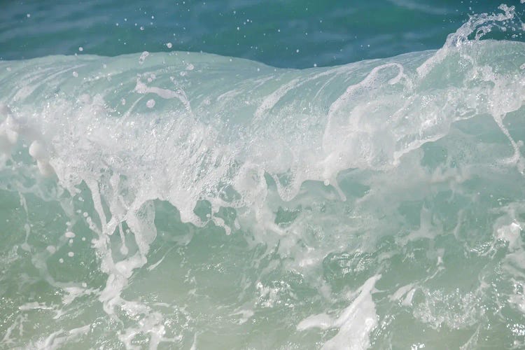 Caribbean Wave Rush I by Anita's & Bella's Art wall art