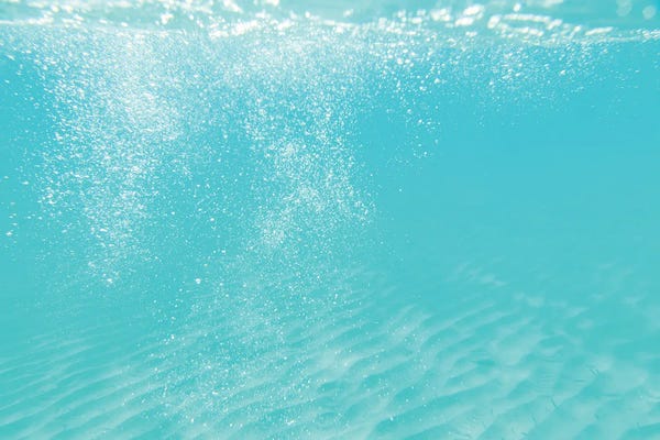 Underwater: Underwater Caribbean Bubbles Dream III by Anita's & Bella's Art