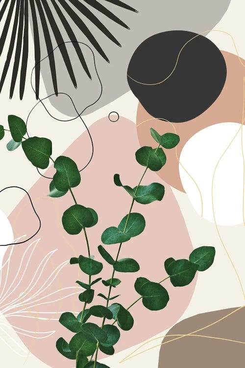Eucalyptus Fan Palm I Finesse by Anita's & Bella's Art wall art