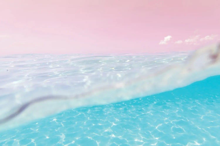 Underwater Caribbean Sea Dream VI