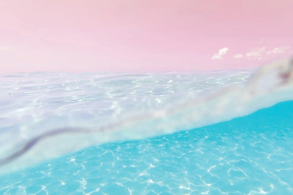 Anita's & Bella's Art: Underwater Caribbean Sea Dream VI by Anita's & Bella's Art