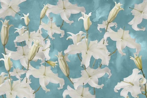 Anita's & Bella's Art: White Lily Blossom Glam I by Anita's & Bella's Art