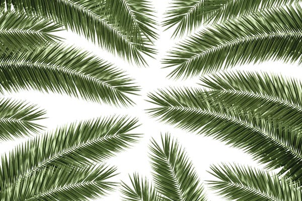 Palm Leaves Finesse Pattern I