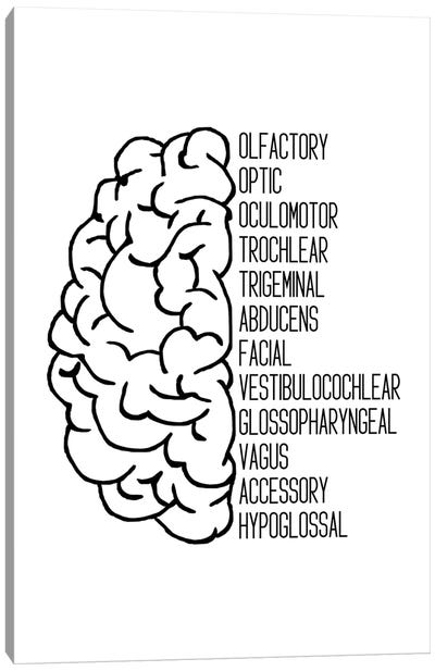 Black Cranial Nerves Canvas Art Print - Neurodiversity