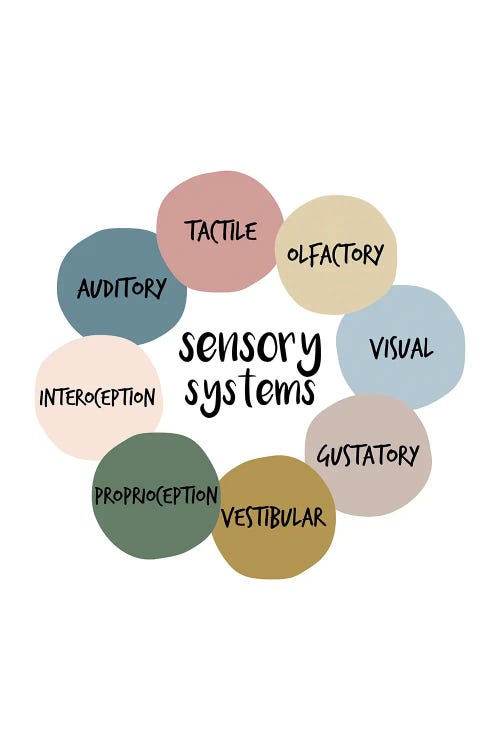 Sensory Systems