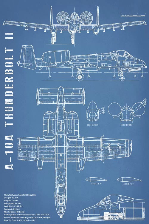 Blue Portrait Sketch A-10 Thunderbolt II [Warthog] Airplane
