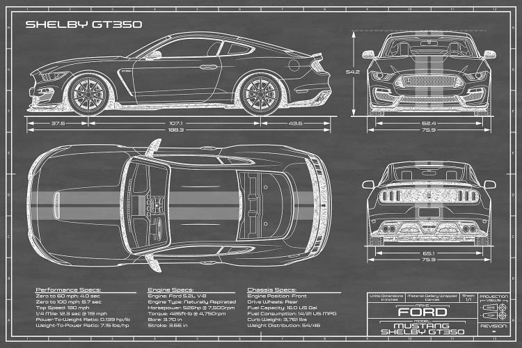 Shelby GT350 (2015-2019) Black