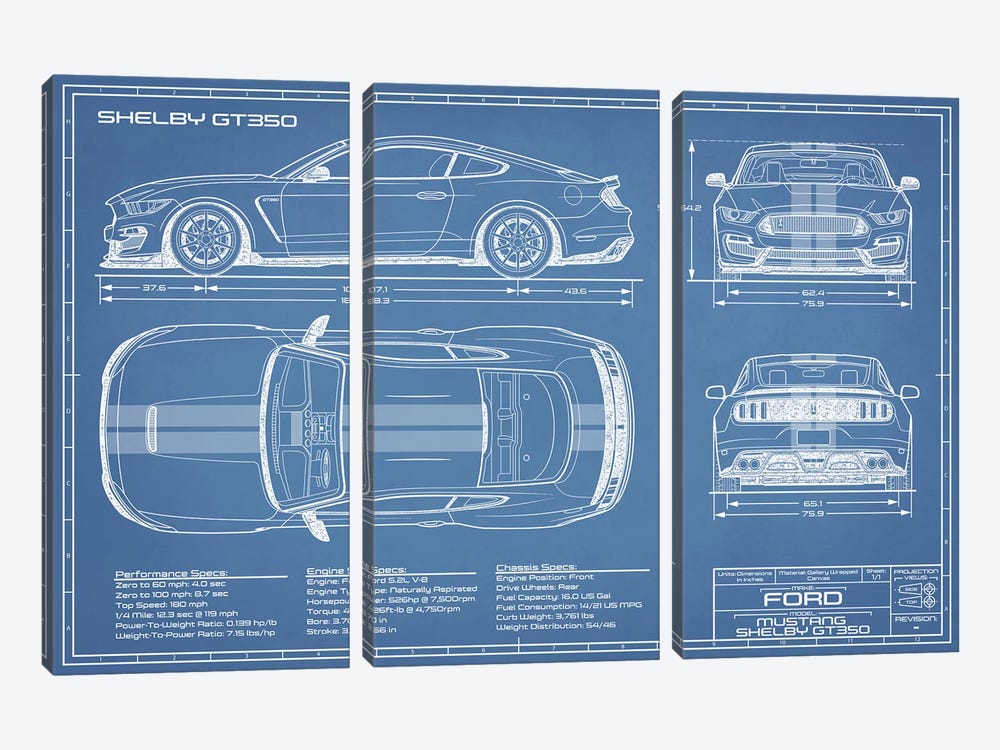 Shelby GT350 (2015-2019) Blueprint by Action Blueprints 3-piece Canvas Artwork
