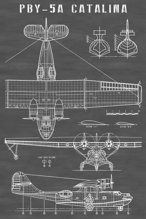 Vintage Seaplane Aircraft | Black