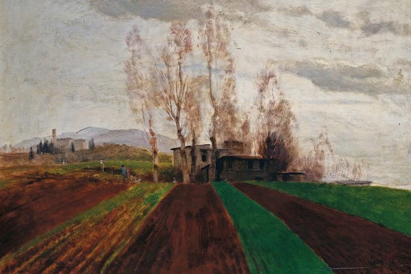 Arable Land In Early Spring