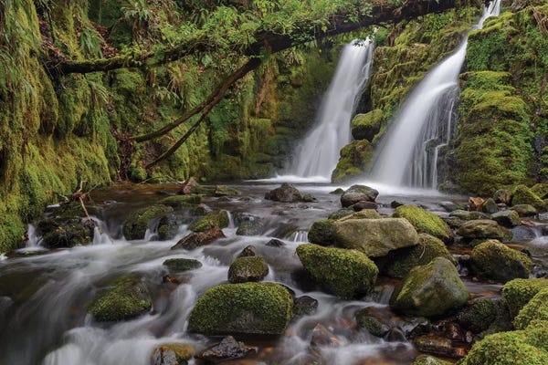 Waterfalls: Secret Waterfall by Adam Burton