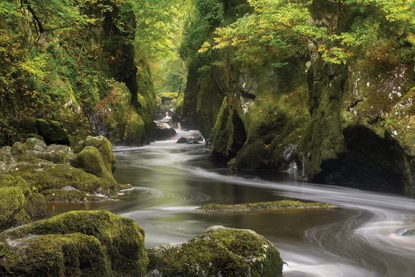 The Fairy Glen