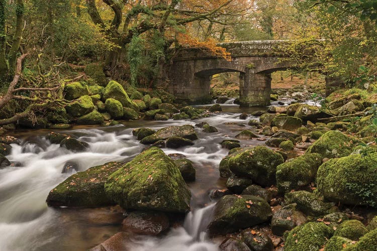 Woodland Bridge