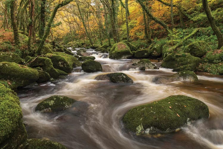 Woodland River