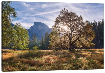 Cook’s Meadow Canvas Art Print - Sunrises & Sunsets Scenic Photography
