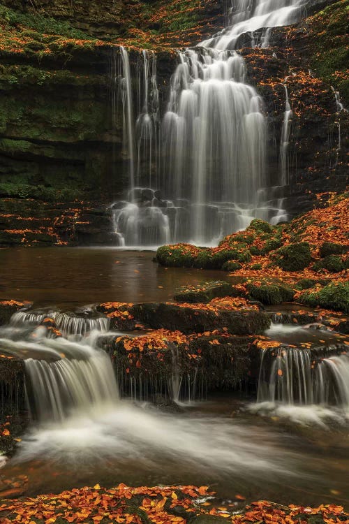 Woodland Waterfall