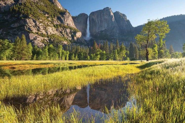 Yosemite Meadow & Falls