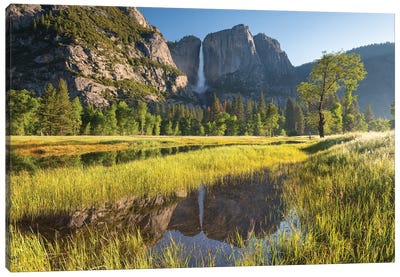Yosemite Meadow & Falls Canvas Art Print - Yosemite National Park Art
