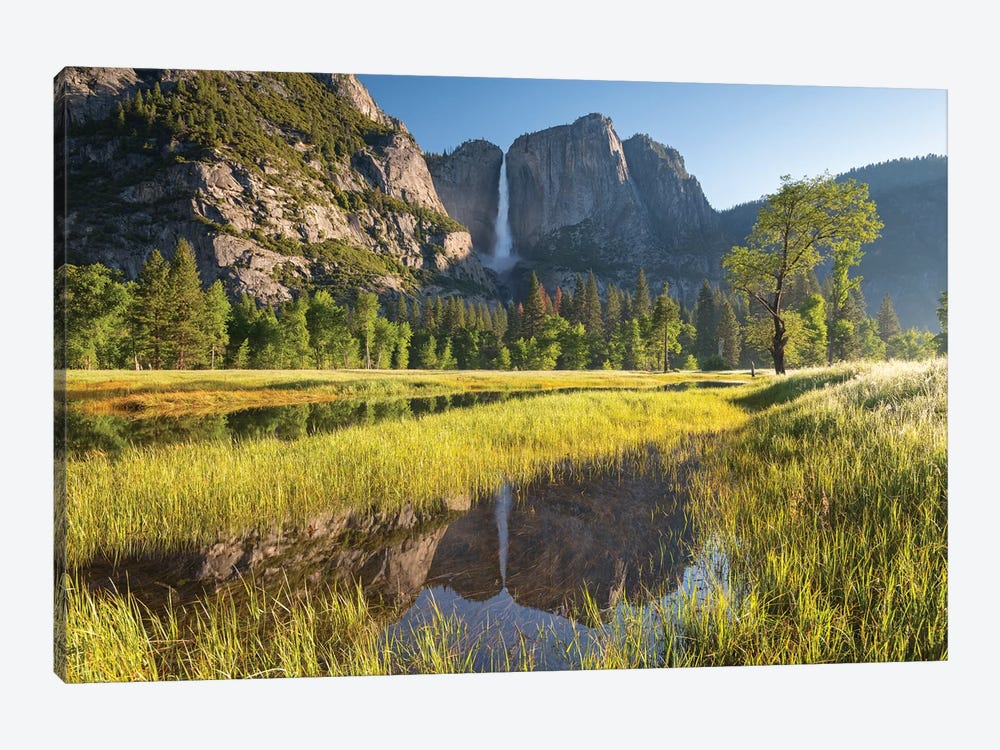 Yosemite Meadow & Falls by Adam Burton 1-piece Canvas Artwork