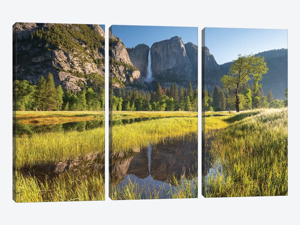 Yosemite Meadow & Falls by Adam Burton 3-piece Canvas Artwork