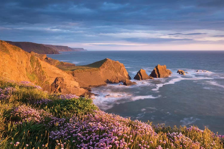 Hartland Coast