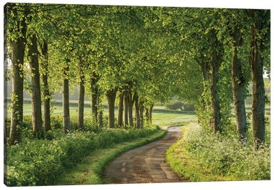 Country Ways Canvas Art Print - Trail, Path & Road Art