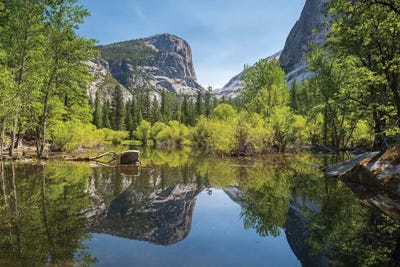 Mirror Lake Reflections, Yosemite by Adam Burton acrylic art print