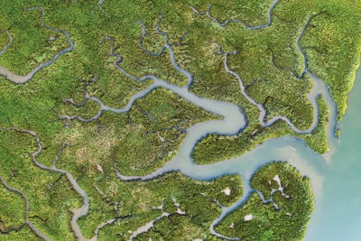 Nature's Patterns by Adam Burton acrylic art print