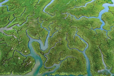 Nature's Patterns II by Adam Burton acrylic art print