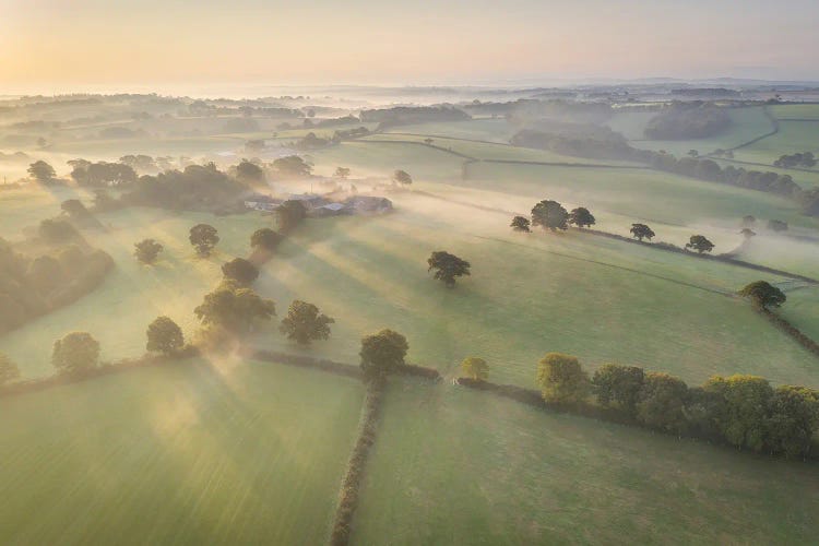 Pastoral Symphony by Adam Burton wall art