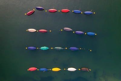 The Little Boats by Adam Burton acrylic art print