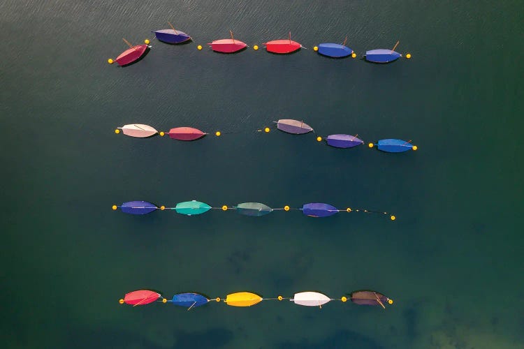 The Little Boats