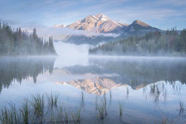 Perfect Tranquility