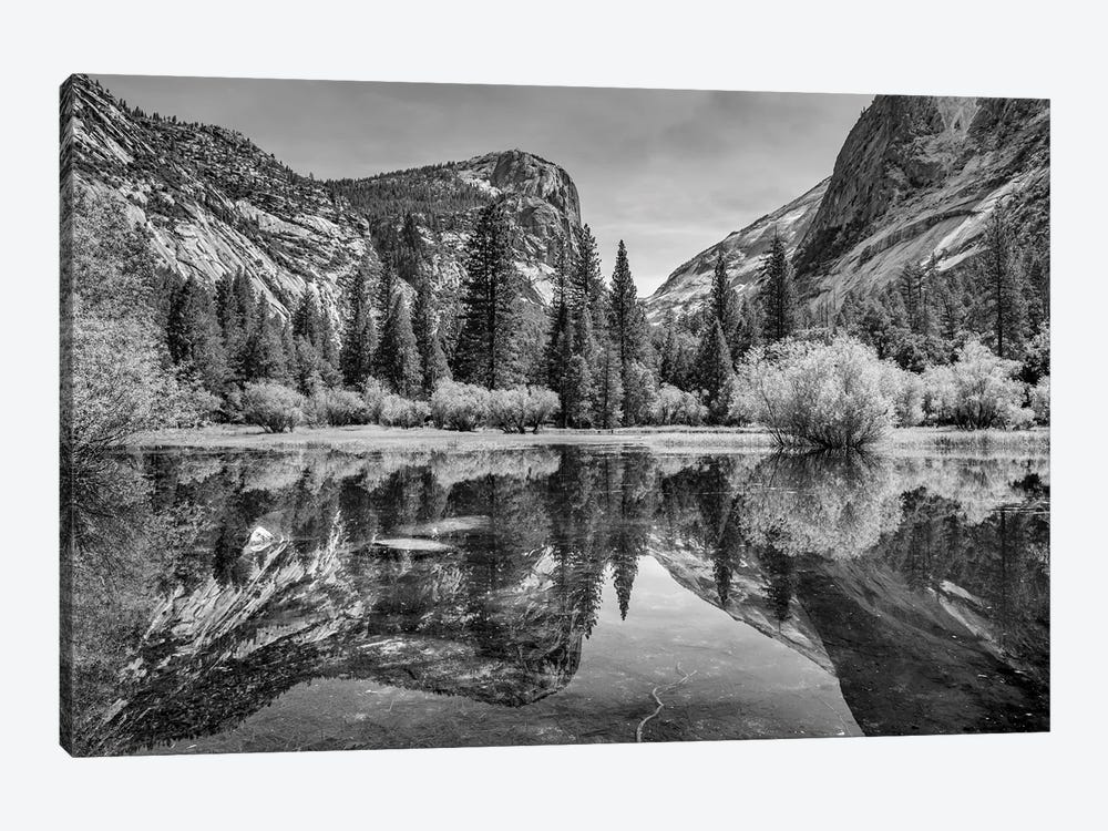 Mirror Lake, Yosemite by Adam Burton 1-piece Canvas Artwork