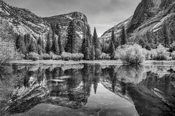 Yosemite National Park: Mirror Lake, Yosemite by Adam Burton