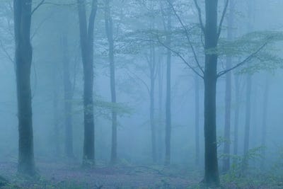 Into The Blue by Adam Burton acrylic art print