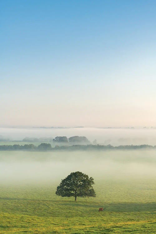 Standing Alone by Adam Burton wall art
