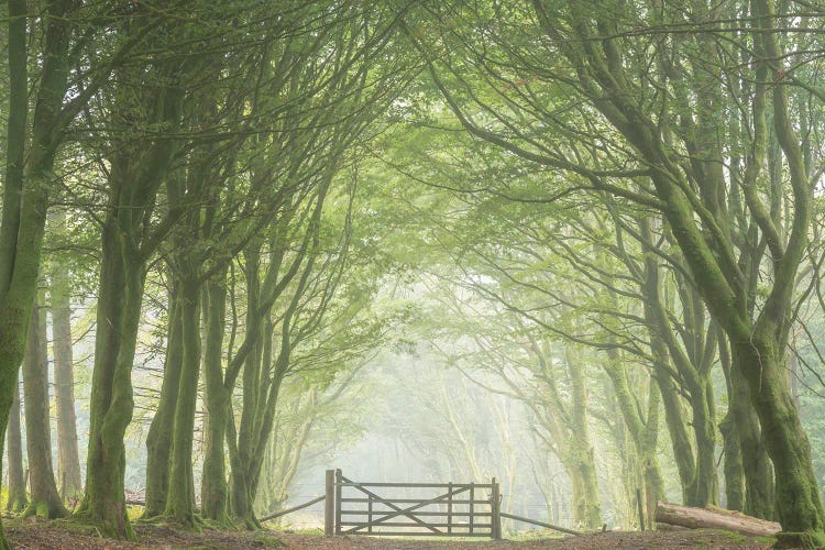 The Gateway