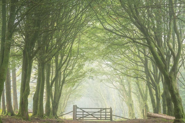 The Gateway